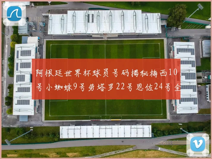 阿根廷世界杯球员号码揭秘梅西10号小蜘蛛9号劳塔罗22号恩佐24号全解析